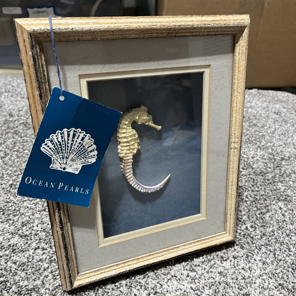 VINTAGE FIGI GRAPHICS SHADOWBOX SEAHORSE NAUTICAL DECOR Rustic